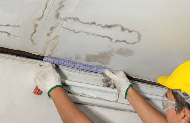 Affordable Water Damage Repair solutions in Second Mesa, AZ